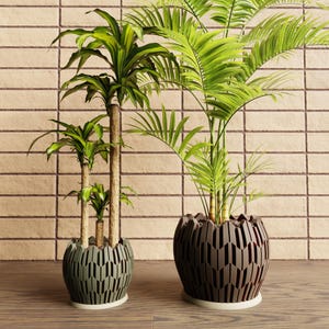 May include: Two decorative planters with green plants. The planters are dark green and brown with geometric cut-out designs. The plants have long green leaves and brown stems. The planters sit on a wooden surface.