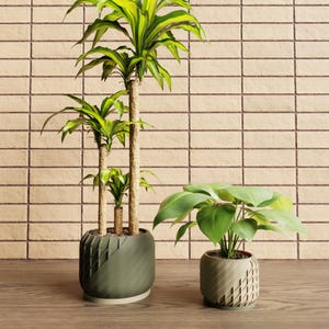 May include: Two potted plants. One tall plant with multiple stems and green and yellow leaves in a green pot. The other is a smaller plant with large green leaves in a similar green pot. The background is a light brown brick wall.