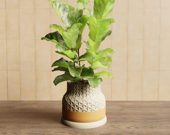 Asanoha Plant Pot: Japanese Design Planter with Drainage - Personalized Colors