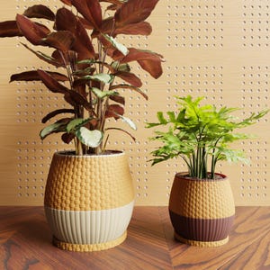 May include: Two potted plants with textured, two-tone planters. The larger plant has broad, reddish-brown leaves and a woven-look, tan and cream planter. The smaller plant has green, fern-like leaves and a tan and brown planter. The background is a wood-paneled wall.