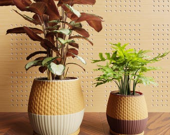 May include: Two potted plants with textured, two-tone planters. The larger plant has broad, reddish-brown leaves and a woven-look, tan and cream planter. The smaller plant has green, fern-like leaves and a tan and brown planter. The background is a wood-paneled wall.