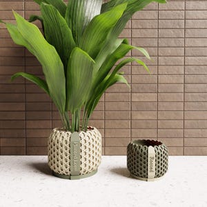 May include: A large green leafy plant in a woven beige planter with the text "Planted Love" on a green tag. A smaller matching planter with the text "Rooted" is to the right. The background is a brown brick wall.