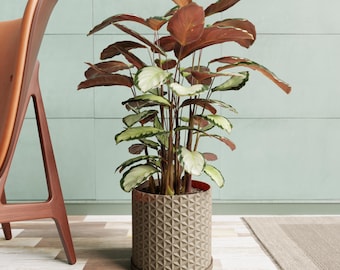 Asanoha Planter: Japanese-Inspired Plant Pot with Drip Tray, Personalized Colors