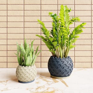 May include: Two potted plants in spherical planters with a textured, repeating geometric pattern. The smaller plant has variegated green leaves, while the larger plant features bright green, upright stems and leaves in a dark gray pot.