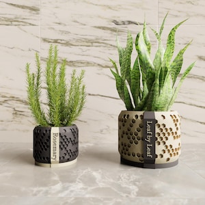 May include: Two decorative planters with greenery. The left planter is dark gray with a honeycomb design and a Rosemary label. The right planter is beige with a honeycomb design and a Leaf by Leaf label. The plants are a rosemary and a snake plant.