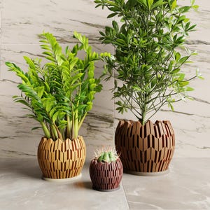 May include: Three potted plants in geometric, textured planters. One tall plant in a light yellow pot, one tall plant in a brown pot, and one small cactus in a dark brown pot. Each planter features a repeating arrow-like pattern.