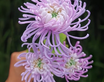 Chrysanthemum Häkelanleitung: DIY Daisy Anleitung (PDF-Muster)