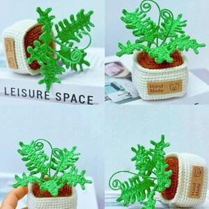 K&ouml;nnte beinhalten: Geh&auml;kelte Miniatur-Farnpflanze in einem wei&szlig;en Topf mit braunem Innenraum. Der Farn ist hellgr&uuml;n, und der Topf hat ein "Hand Made"-Etikett mit einem B&auml;ren. Der Text "LEISURE SPACE" ist sichtbar. Ein charmantes handgefertigtes Dekorationsst&uuml;ck.