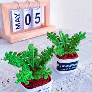 K&ouml;nnte beinhalten: Zwei handgefertigte H&auml;kelkakteen in wei&szlig;en quadratischen T&ouml;pfen mit roter "Erde". Die T&ouml;pfe tragen die Aufschrift "BLUE MOUNTAINS CACTUS" und "FRESH CACTUS". Ein Holz-Kalender zeigt "MAY 05".