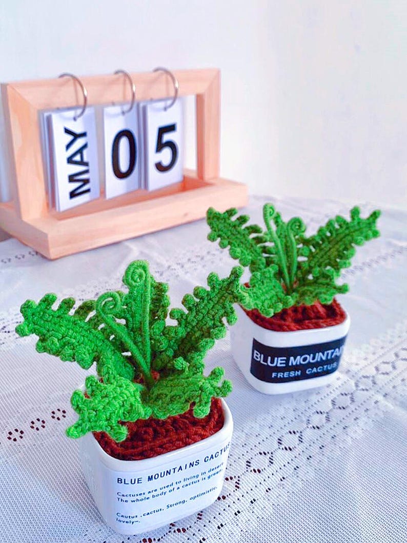 K&ouml;nnte beinhalten: Zwei handgefertigte H&auml;kelkakteen in wei&szlig;en quadratischen T&ouml;pfen mit roter "Erde". Die T&ouml;pfe tragen die Aufschrift "BLUE MOUNTAINS CACTUS" und "FRESH CACTUS". Ein Holz-Kalender zeigt "MAY 05".