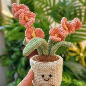 Può includere: Vaso di fiori all'uncinetto con un volto sorridente e piccoli piedi marroni. Il vaso contiene fiori rosa con centri gialli e steli verdi. Il vaso è bianco sporco e ha una parte superiore marrone, che ricorda la terra.