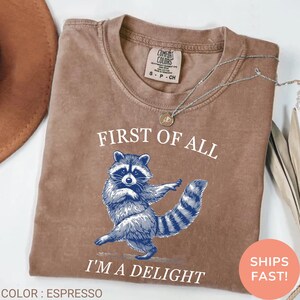May include: Espresso-colored t-shirt with a blue raccoon graphic and the text "FIRST OF ALL I'M A DELIGHT." The shirt has a crew neck and short sleeves. A silver necklace is draped across the shirt.
