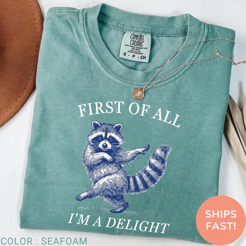 May include: Seafoam green t-shirt with a dancing raccoon graphic and the text "FIRST OF ALL I'M A DELIGHT". The shirt has a crew neck and short sleeves. A silver necklace with a pendant is on the shirt.