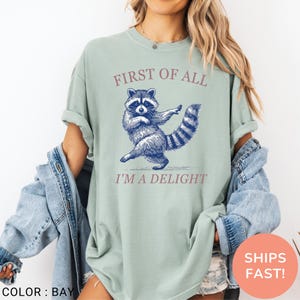 May include: A light green t-shirt with a raccoon graphic and the text "FIRST OF ALL I'M A DELIGHT". The raccoon is depicted in blue, with a striped tail. The shirt is a relaxed fit.