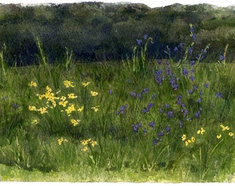 Wildflowers