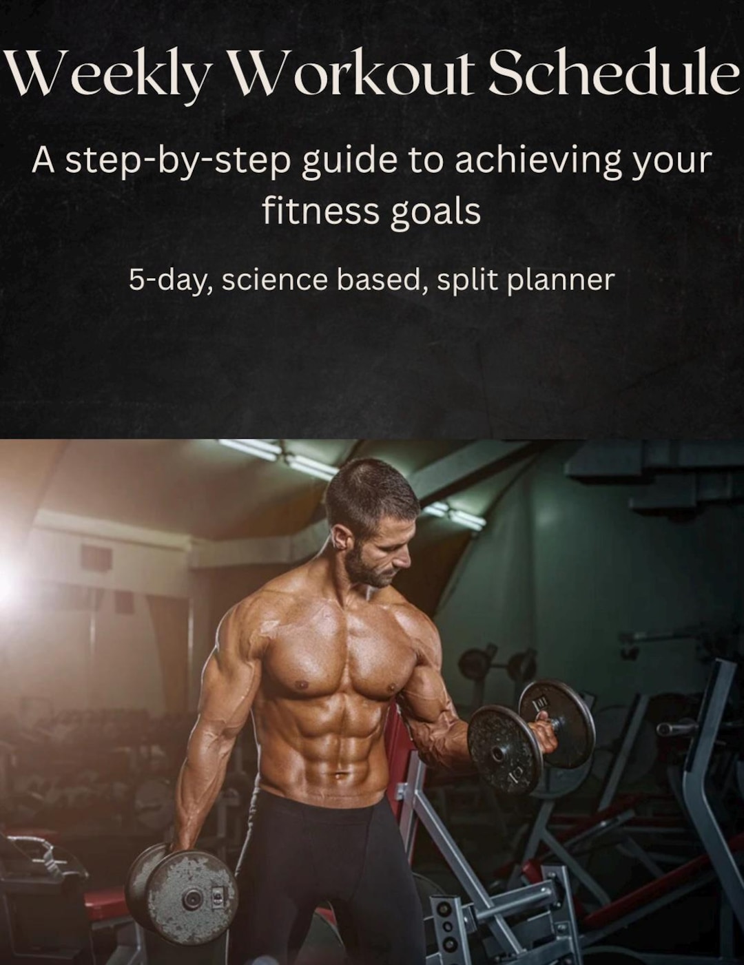Weekly Workout Schedule - for All Levels of Fitness - Etsy