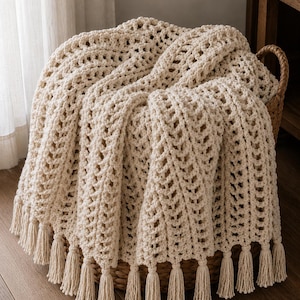 Può includere: Una coperta all'uncinetto color crema caratterizzata da un motivo ripetitivo a punto aperto verticale e da una serie di lunghe nappe pendenti fissate lungo il bordo inferiore. Il tessuto è drappeggiato su un cesto intrecciato, mostrandone la trama.