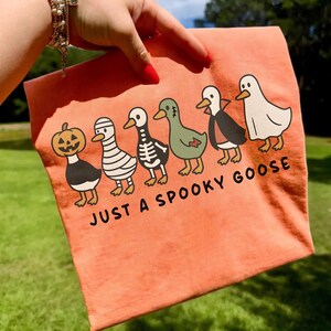 K&ouml;nnte beinhalten: Ein orangefarbenes T-Shirt mit einer Reihe von Cartoon-G&auml;nsen in Halloween-Kost&uuml;men. Die G&auml;nse sind als K&uuml;rbis, Mumie, Skelett, Hexe, Vampir und Geist verkleidet. Der Text "JUST A SPOOKY GOOSE" ist darunter gedruckt.