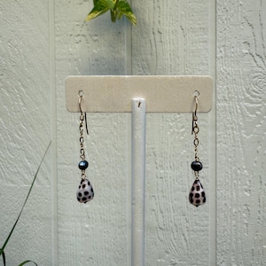 Gold filled RARE tiny tiny Hebrew cone shell/fresh water pearl earrings