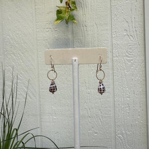 Gold filled RARE tiny tiny Hebrew cone shell earrings