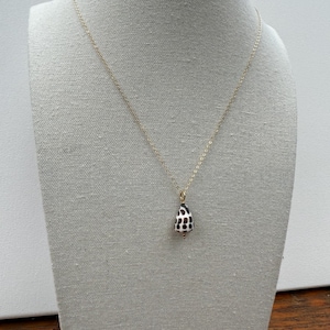Puede incluir: Un collar de cadena dorada con un colgante hecho de una pequeña concha marina en forma de lágrima. La concha es blanca con manchas negras. El collar se exhibe en un maniquí gris.