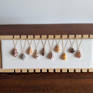May include: Ten seashell pendants on gold chains are displayed. The shells are in various colours and patterns, including brown, white, orange, and black. The necklaces are arranged on a white surface with a wooden frame, set against a dark wood background.