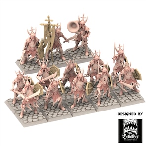 Può includere: Un set di dieci miniature di guerrieri non dipinte di colore chiaro su basi in ciottoli. Le figure indossano armature ornate con elmi alati e impugnano spade, scudi e uno stendardo. Un logo nell'angolo riporta la scritta DESIGNED BY The Beholder Miniatures.
