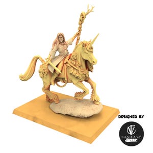 May include: A detailed figurine of a warrior riding a unicorn, holding a staff topped with skulls. The unicorn is adorned with floral decorations. The figurine is on a rectangular base. The text "DESIGNED BY" and a logo are visible.