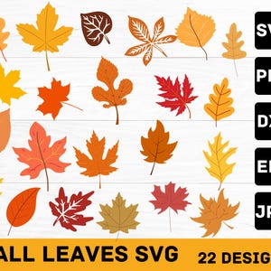 Fall Leaves Svg, Fall svg, Fall leaf svg bundle, Fall png, dxf, clipart, Cut files for Cricut, Glowforge files, Silhouette, Halloween svg