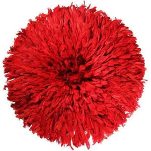 May include: A round, vibrant red wall hanging made of feathers. The feathers are densely packed, creating a textured, circular design. This decorative piece adds a bold pop of color and texture to any interior space.