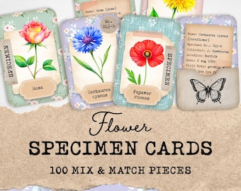 Vintage Botanical Flower Specimen Cards, Junk Journal Ephemera, Interactive Fussy Cuts (Printable PDF)