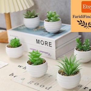 May include: A collection of small, artificial succulents in white, ribbed ceramic pots. The green plants vary in shape and size, arranged on a light-colored surface with a book that says "MORE". The Etsy shop name "FaridiFindNFeel" is visible.