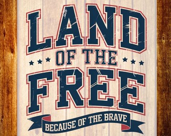 Land Of The Free DTF Transfer, Diseño de camiseta patriótica, 4 de julio Listo para imprimir