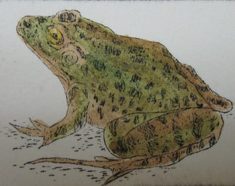 Frog V