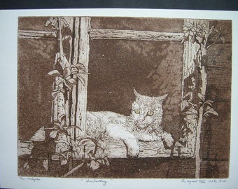 Sunbathing etching of cat in barn window, cat