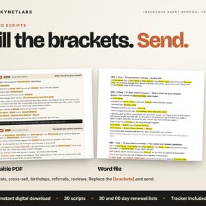 Insurance Agent Renewal Tracker + 30 Scripts (Excel, Google Sheets) image 4