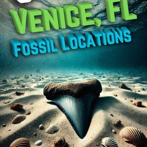 May include: A large shark tooth lies partially buried in the sand. The tooth is gray and white with a sharp point. The sand is white and the water is blue. The text "6 VENICE, FL FOSSIL LOCATIONS INCLUDING 3 SCUBA SPOTS" is written in red and white letters on the image.