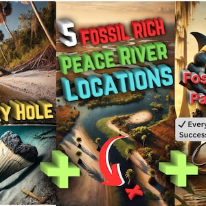The BUNDLE Peace River Fossil Map + The Honey Hole + Packlist