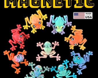 3D Printed Magnetic Articulated Frog - 14 Colors & Glow in Dark Options | Collectible Desktop Toy