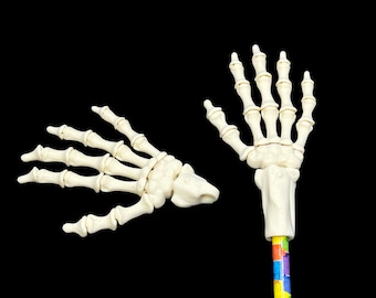 Peut inclure: Deux mains de squelette en plastique blanc cassé, l'une détachée et l'autre attachée à un crayon avec un motif géométrique coloré. Les mains sont détaillées et semblent être un article d'Halloween ou éducatif sur fond noir.