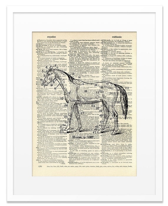 Items similar to Horse Vintage DICTIONARY Art Print 8x10 on Etsy