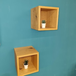 Könnte beinhalten: Zwei hölzerne Würfelregale an einer türkisfarbenen Wand. Jedes Regal enthält eine kleine Topf-Sukkulente. Die Regale sind aus hellem Holz gefertigt und haben ein schlichtes, modernes Design. Die Anordnung ist eine minimalistische Dekoration.