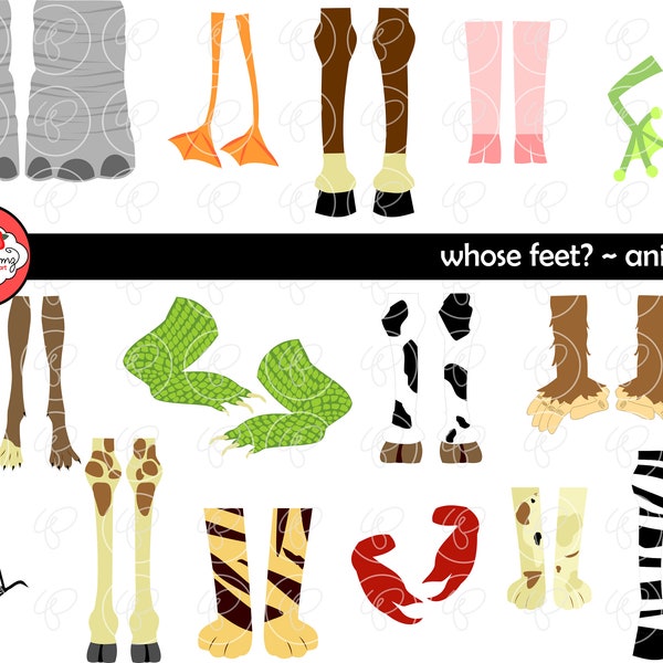 Whose Feet : Animal Digital Clipart Pack (300 dpi) Elephant Zebra Dog Cat Tiger Ape Crocodile Duck Horse Pig Bird Cow