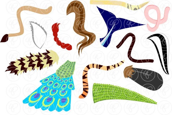 Whose Tail: Animal Digital Clipart Pack 300 Dpi Tiger - Etsy