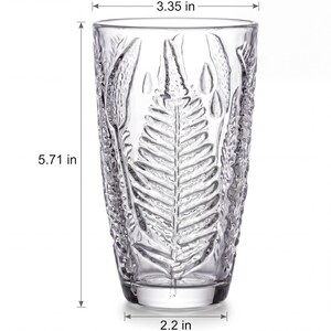 Embossed fern tall drinking glass dimensions, vintage highball tumbler size guide, clear textured glassware measurements, retro style glass for water and cocktails, detailed product dimensions image