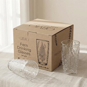 Embossed fern drinking glass with eco kraft packaging box, vintage style glassware set, gift ready textured tumblers, retro clear glass cups for housewarming, durable pressed glass with botanical design