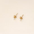 14k Solid Gold/Gold Filled Freshwater Pearl Stud Earrings,2.5mm 3mm 4mm 5mm 6mm Minimalist Pearl product logo