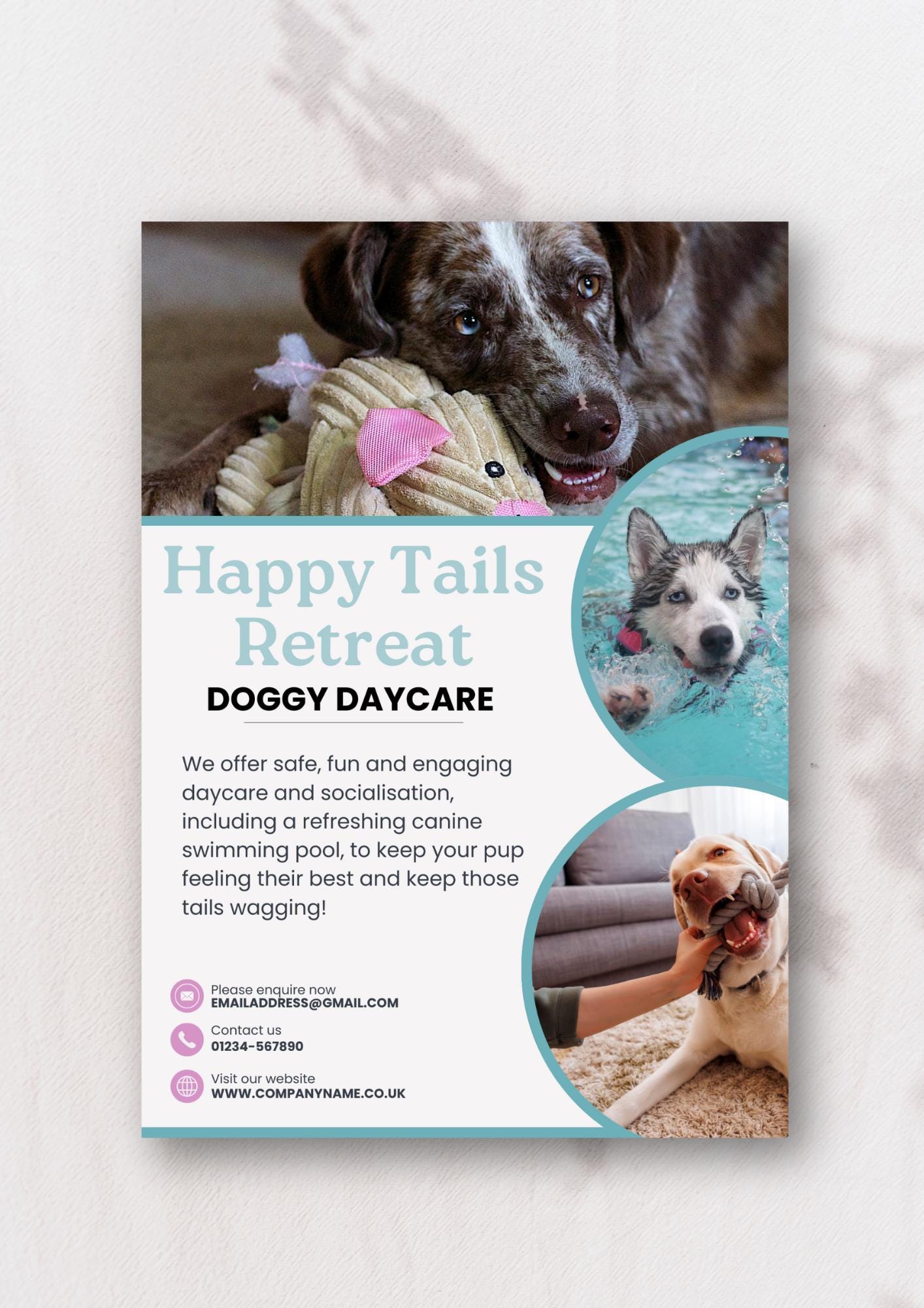 Pet Sitting Reputable Dog Groomers Near Me Ghatkopar East Dog