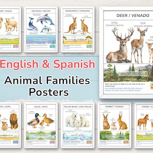 Bilingual Animal Families Posters | English-Spanish Educational Printable for Kids | Set of 10 Posters | DIGITAL DOWNLOAD