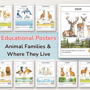 Animal Families Posters – Learn Animal Names, Habitats and Fun Facts | Educational Wall Art for Preschool and Classroom | Digital Download